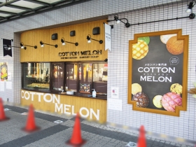 コットンメロン